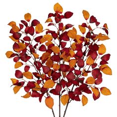 an arrangement of red and yellow leaves in a vase