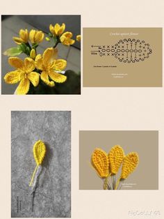 four pictures with different types of flowers and words on them, including one yellow flower