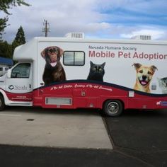 a mobile pet adoption truck parked in a parking lot with two dogs and cats on the side