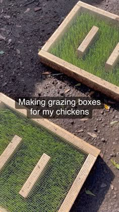 two wooden boxes with grass growing in them