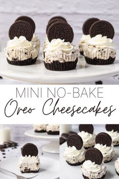 mini no - bake oreo cheesecakes on a white plate with chocolate cookies