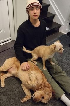 a boy sitting on the floor with two dogs