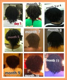 Black Women Curly Ponytail, Loc Progress, Loced Hair, African Hair Styles, Medium Haircuts