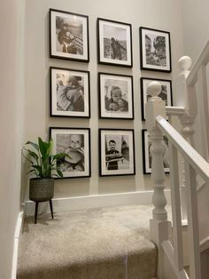 a staircase with pictures on the wall and a potted plant