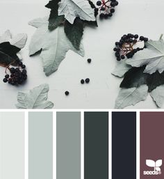 some leaves and berries on a white table with color swatches in the bottom right corner