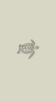 a black and white drawing of a sea turtle