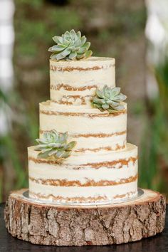 a three tiered cake with succulents on top sits on a tree stump