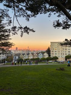 people are sitting on the grass in front of some tall buildings and trees at sunset