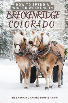 two horses pulling a sleigh with the words how to spend a winter weekend in breckenridge, colorado