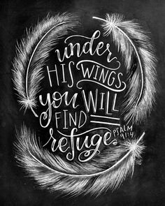 the words under his wings you will find refuge on a blackboard with white feathers