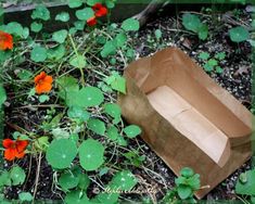 a brown paper bag sitting on the ground next to flowers