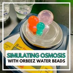 an image of some water beads on top of a tray with the words simulating osmosis with oreez water beads