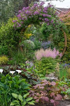 a garden with lots of plants and flowers around the arch in the middle of it