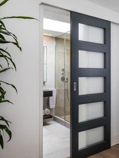 an open door leading to a bathroom with a plant in the foreground and a shower behind it