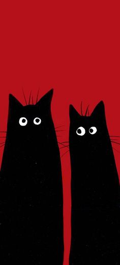 two black cats staring at each other with eyes drawn on the back of their heads