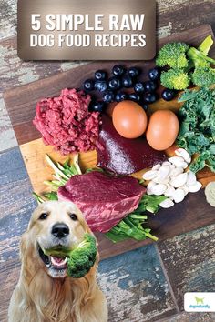 a dog holding a piece of broccoli in front of it's mouth