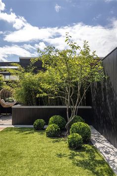 an outdoor area with grass, bushes and trees in the foreground is seen from across the yard