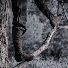 a person standing on top of a tree branch