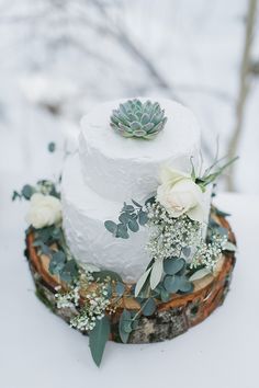 a white wedding cake with succulents and greenery on top is sitting in the snow