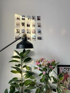 some plants are sitting on a table in front of a wall with pictures and a lamp