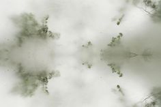 an overhead view of trees in the fog