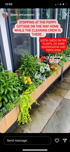 a window box filled with lots of plants next to a wall mounted phone call message