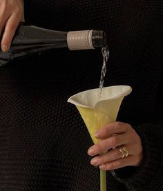 a person pouring something into a vase with a green sprig on it and a bottle in the background