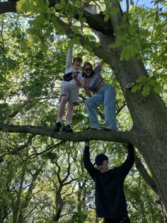 two people standing on top of a tree branch