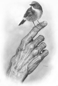 a pencil drawing of a hand holding a small bird