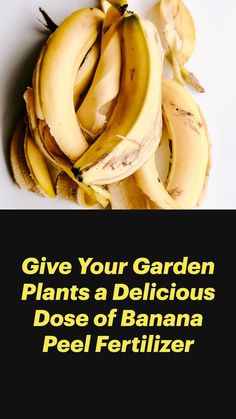 several bunches of bananas sitting on top of each other in front of a white background