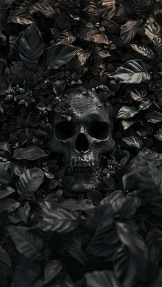 a skull is surrounded by leaves and plants