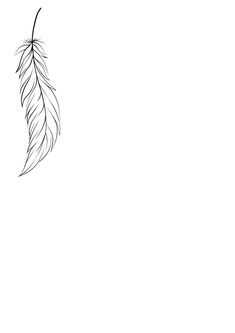 a black and white drawing of a feather