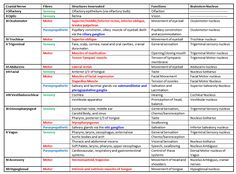 a table with the names and numbers of different types of words in each word, which are