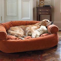 a large brown dog laying on top of a bed in a living room next to a window