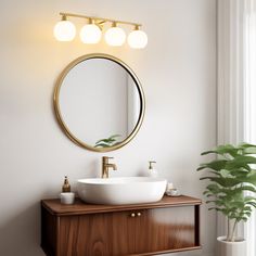 a bathroom with a sink, mirror and potted plant