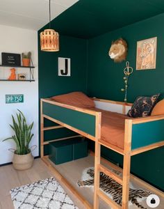 a bunk bed sitting in the corner of a room next to a rug and potted plant