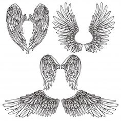 four angel wings with different shapes and sizes