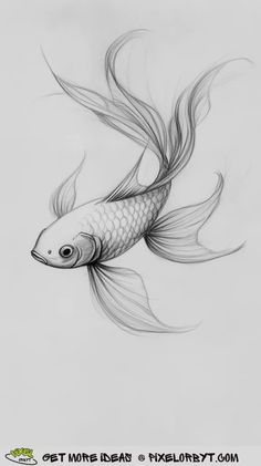 a drawing of a fish with long hair