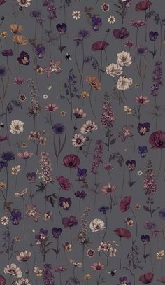 an image of flowers on a gray background