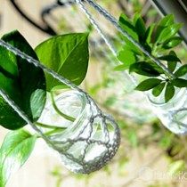 two glass vases with green leaves hanging from them