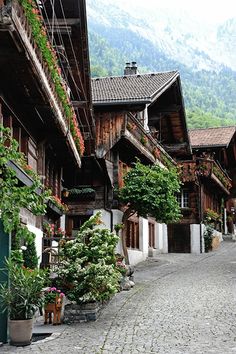 a cobblestone street lined with wooden buildings