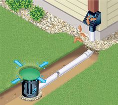 an image of a water main in the ground next to a house and tree with birds on it