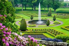 a formal garden with water fountain surrounded by purple flowers