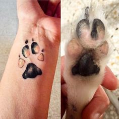 two pictures of the same animal's paw and foot