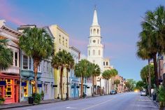 palm trees line the street in front of buildings and a steeple with a clock