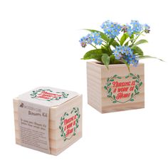 two small wooden boxes with blue flowers in them