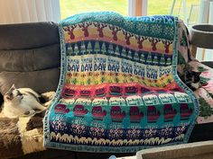 a dog laying on top of a couch next to a blanket