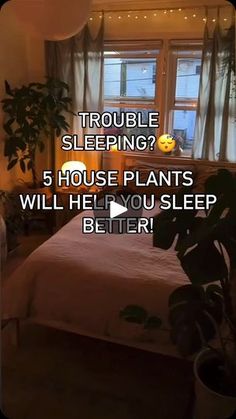 a bed room with a neatly made bed and a plant in the corner that says trouble sleeping? 5 house plants will help you sleep better