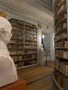 a room filled with lots of books next to a busturine in the center