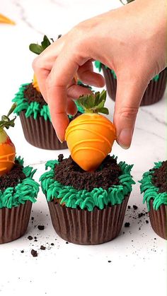 Carrot cake cupcakes decorated with green buttercream Carrot Cake For Easter, Fancy Easter Cupcakes, Carrot Cake Cupcakes Easter, Carrot Patch Cupcakes, Easter Desserts Cute, Bunny Carrot Cake, Easter Cupcake Ideas For Kids, Easter Carrot Cake Ideas, Easter Cupcakes For Kids